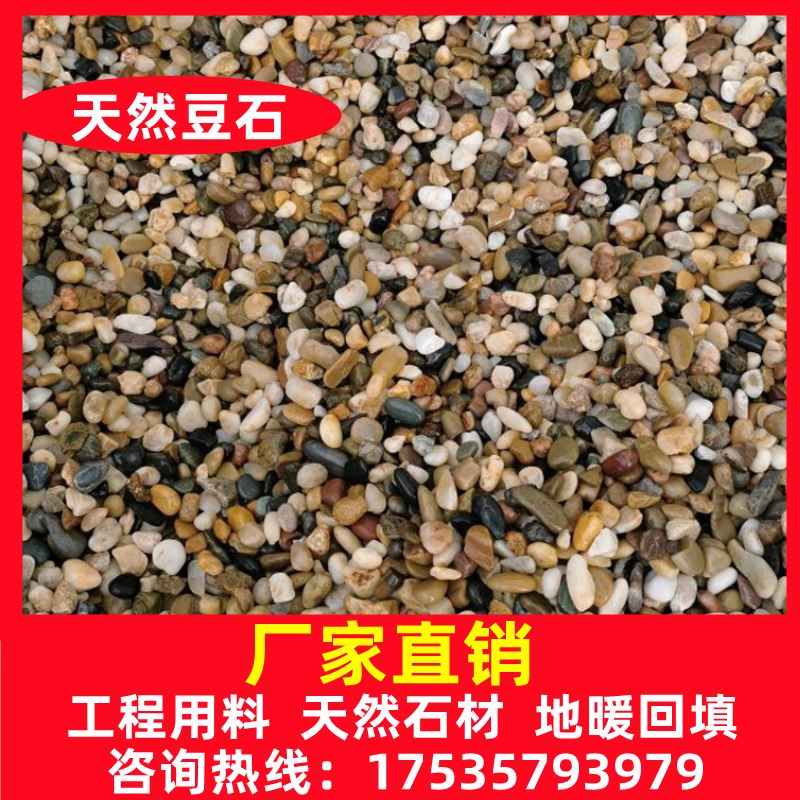 河南豆石地暖回填沼泽过滤地暖豆石小鹅卵石雨花石造景装饰花盆小