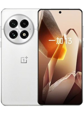 OnePlus/一加 一加 13   24GB+1TB