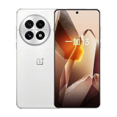 OnePlus/一加 一加 13   24GB+1TB