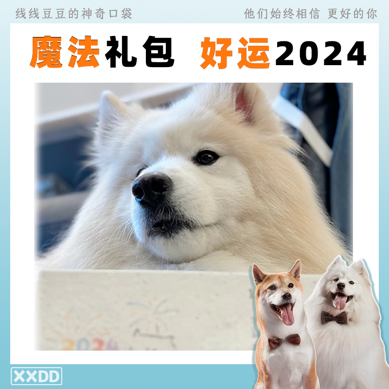 线线豆豆 2024魔法礼包宠物咖啡杯便利贴日历套组 个性定制/设计服务/DIY 咖啡杯 原图主图