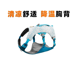 【2026新品】拉夫威尔凉凉胸背夏季防晒防中暑爆冲降温外出狗胸背