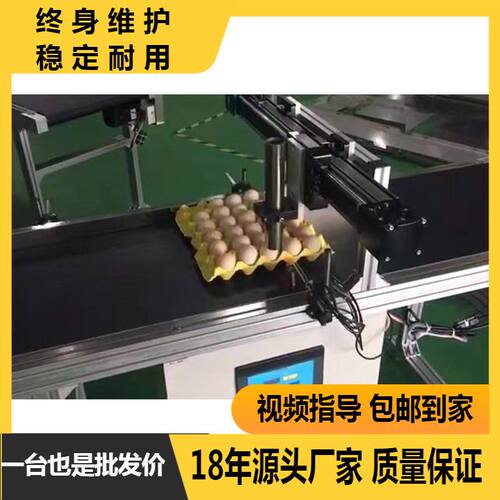 全自动喷码机鸡蛋打码生产流水线 输送带 传输带