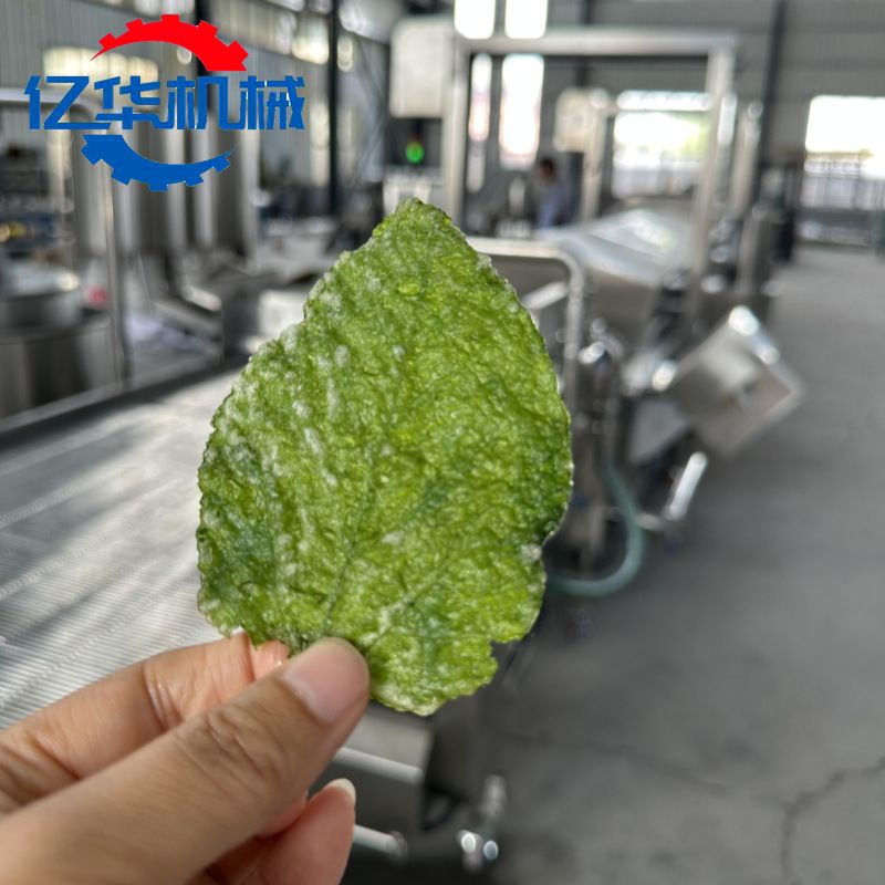 桑叶上浆油炸机 香酥翠叶裹浆油炸流水线 菩提南瓜上浆油炸设备