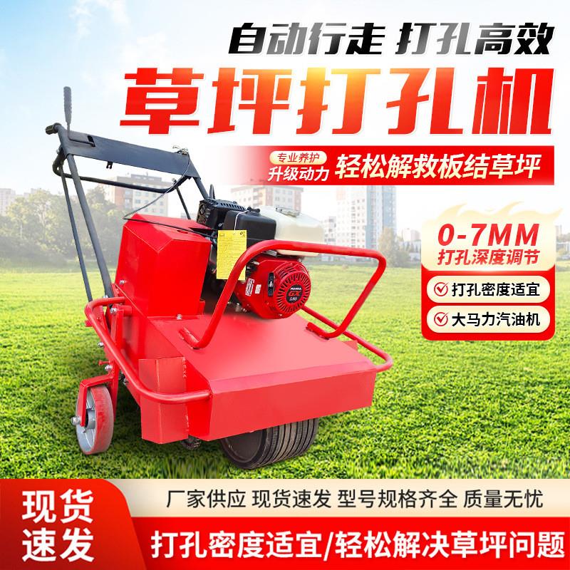 草坪打孔机 草地草根透水通气钻孔机 物业园林养护草皮钉草打眼机