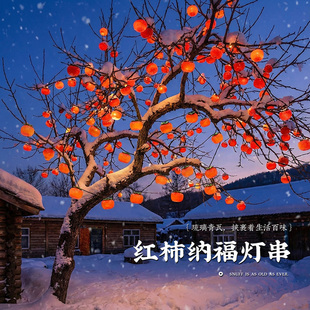 新年红灯笼挂饰2026新款春节过年户外装饰柿子灯串院子挂树小花灯