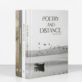 熙思沉浸式 饰品摆件书 饰书样板间书房卧室软装 现代简约精装 家居装