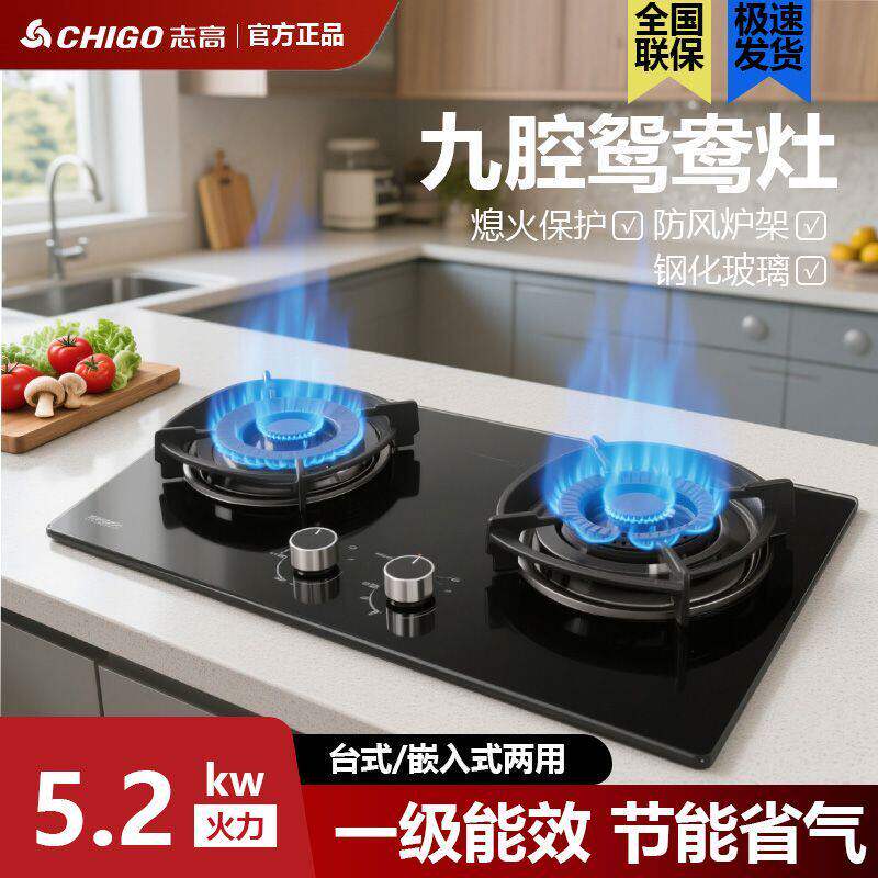 志高家用双口瓦斯炉猛火