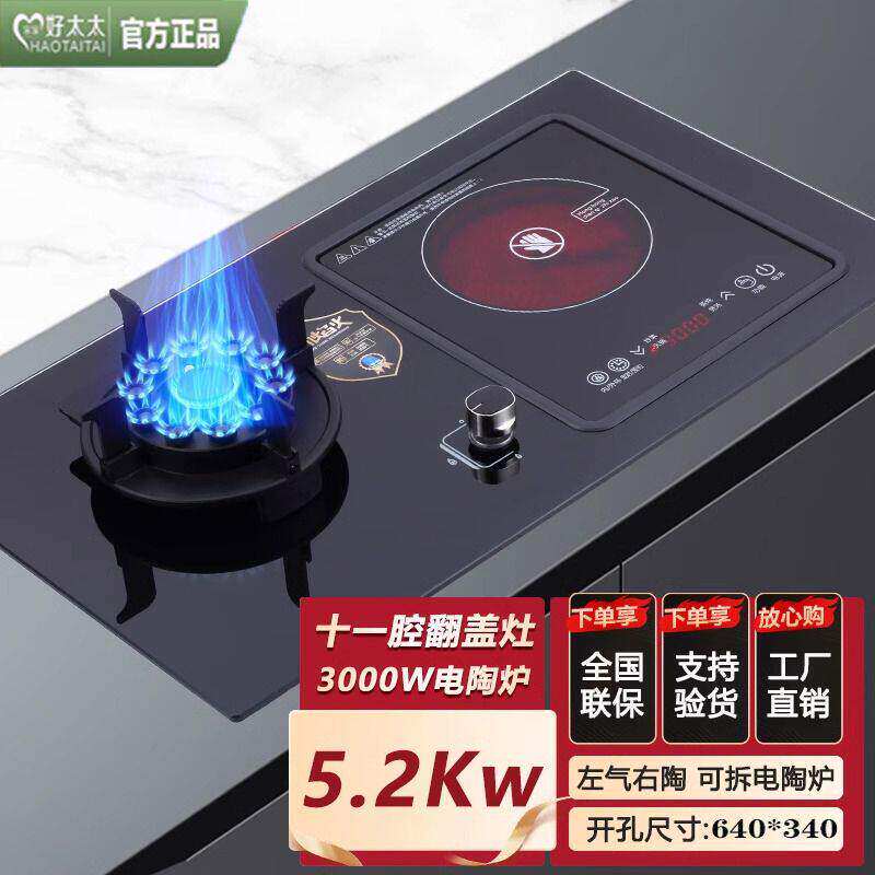 宋家好太太气电两用燃气