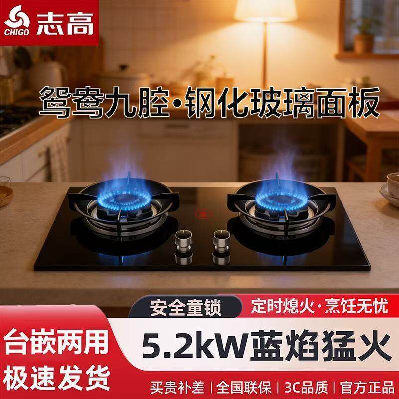 志高瓦斯炉双口家用灶具