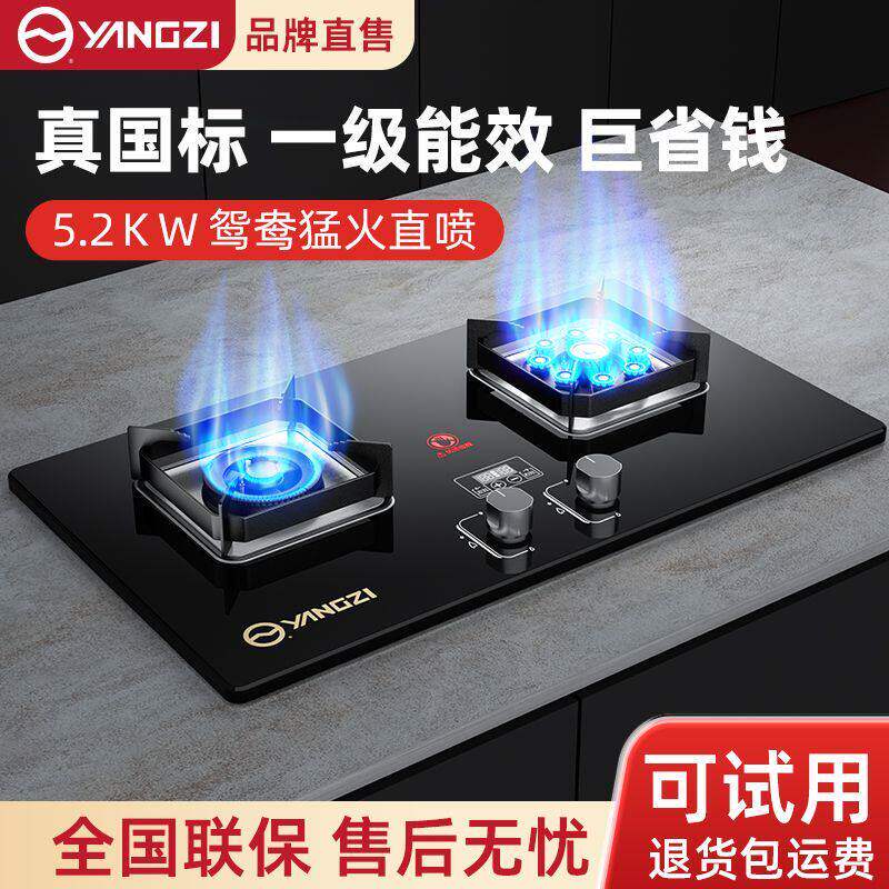 扬子正品煤瓦斯炉双口家