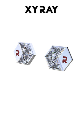 XYRAY耳钉女潮韩版耳钉设计白日梦耳饰耳环2025新款爆款高级感