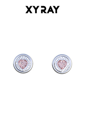 XYRAY 耳钉女潮ins韩版耳钉女设计感耳环气质耳棒养耳洞耳饰