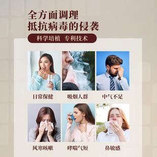 太格乐子虎乳芝灵芝孢粉马西亚原RUT装进口06粒来提升呼吸系统支