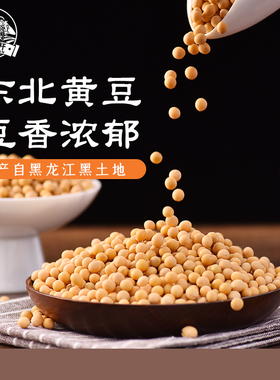 东北黄豆5斤大豆农家自种豆芽打豆浆专用五谷杂粮批发官方旗舰店