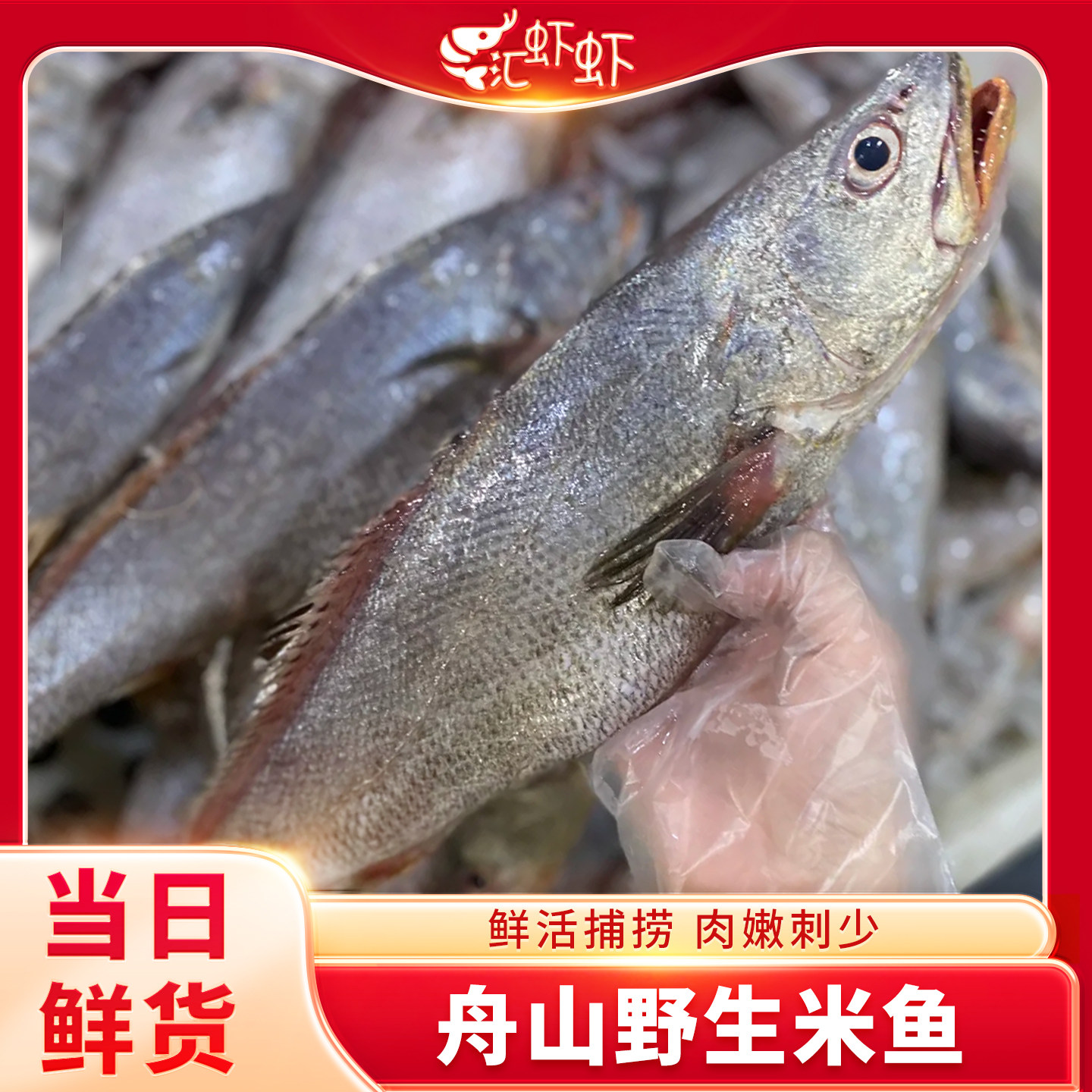 舟山特大米鱼新鲜冷冻深海大鮸鱼鲜活海鲜水产海捕大鳘鱼,水产肉类/新鲜蔬果/熟食,马鲛鱼,淘宝优惠券,粉丝福利购,淘宝优惠卷