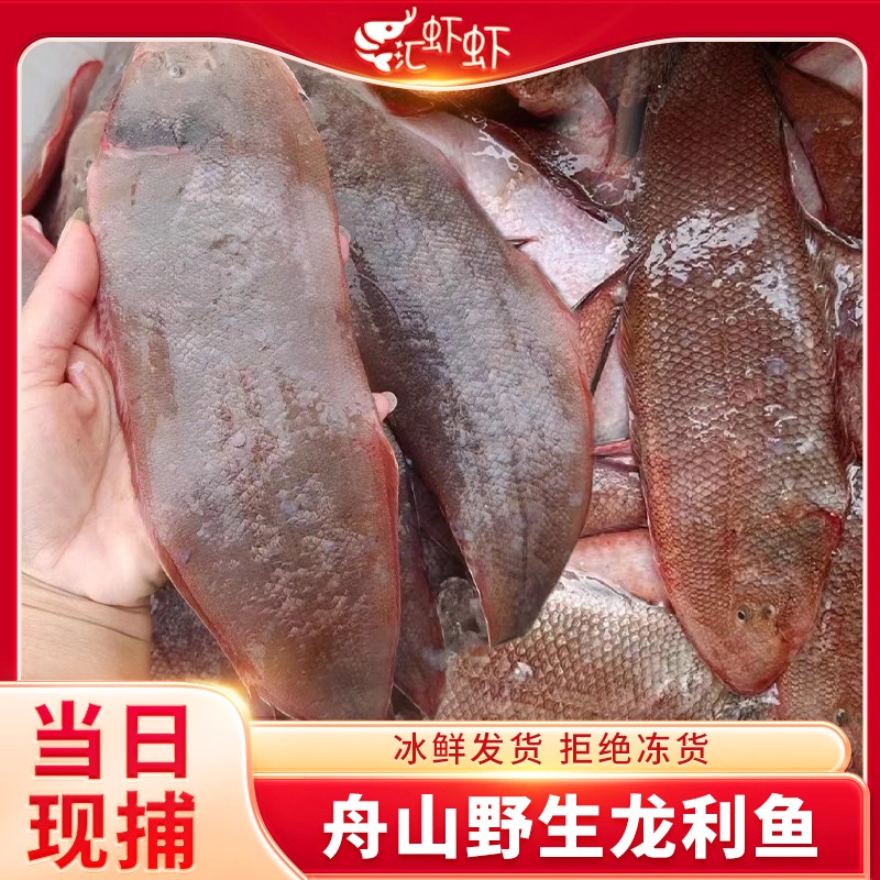 舟山野生真正龙利鱼新鲜冷冻大舌鳎鱼特大玉秃鱼护眼鱼非巴沙鱼片