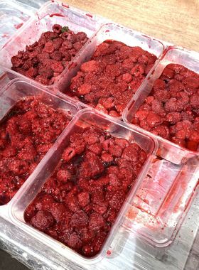 *百香果汁去籽机 榴莲打浆去核设备 欧李钙果打果泥机 树莓榨汁机