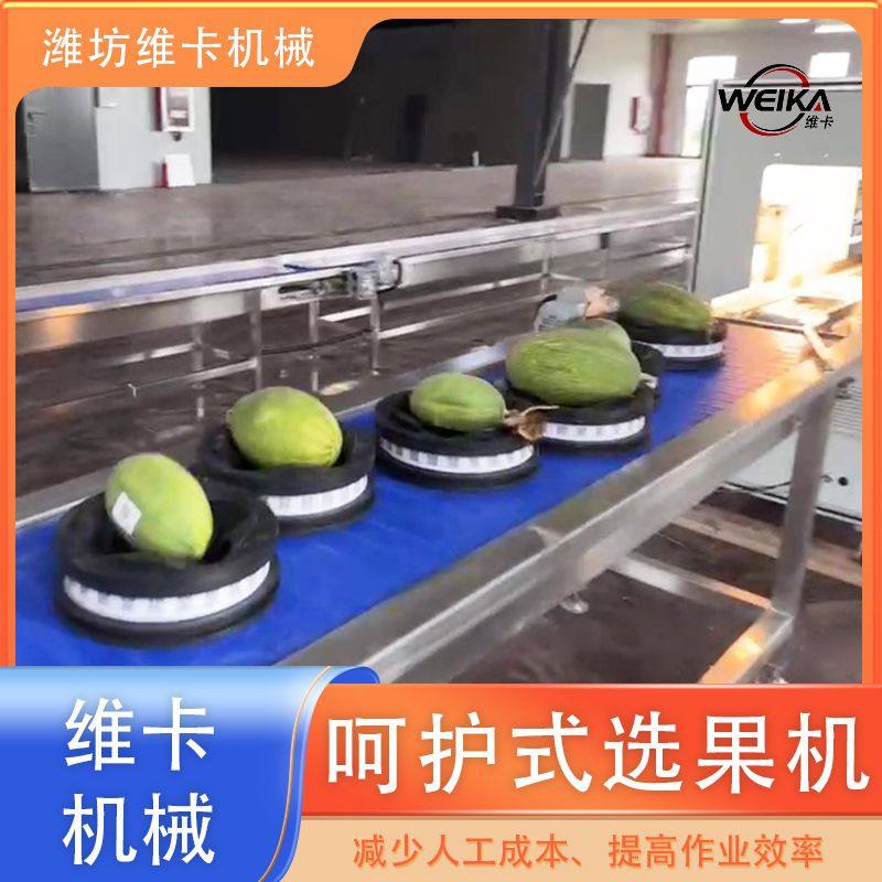 手撕西瓜无损分选机 榴莲芒果自动分选机 苹果桃子梨子重量分拣,清洗/食品/商业设备,选果机/分选机,淘宝优惠券,粉丝福利购,淘宝优惠卷