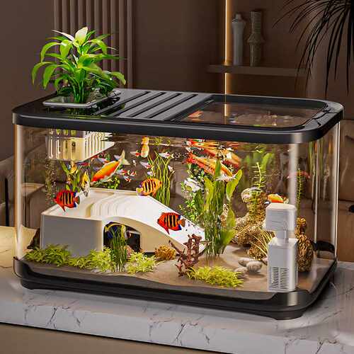 带盖鱼缸客厅家用造景透明生态缸桌面乌龟缸高级感塑料水族箱