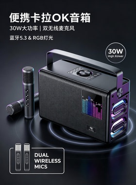 优仕达ys-317家庭卡拉ok一体便携式音响30W大功率户外露营K歌音响