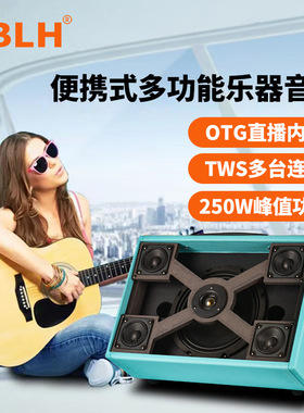JBLH1户外吉他乐器音响直播卖唱专用设备唱歌路演K歌直播蓝牙音响