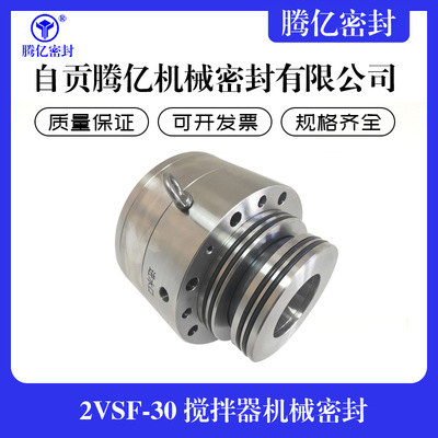 2VSF-30 搅拌器机械密封 吸收塔脱硫搅拌器机械密封 机械密封件