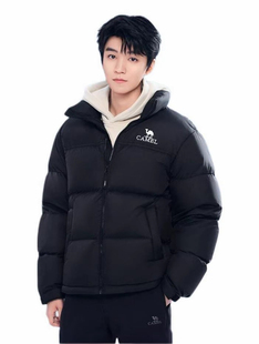 暖绒系列防风防泼水立领羽绒服 2025AW M13CR07066E 骆驼 Camel