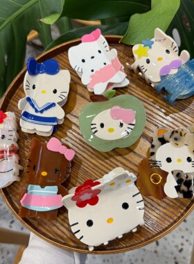 kitty大号豹纹醋酸发抓夹高级感韩国可爱半抓夹发量大2026新款