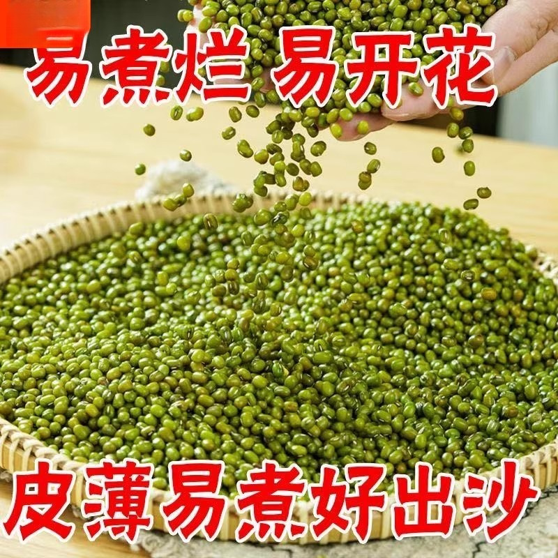 【新货绿豆】农家自产小绿豆去皮脱皮绿豆糕饼绿豆汤材料新鲜豆芽