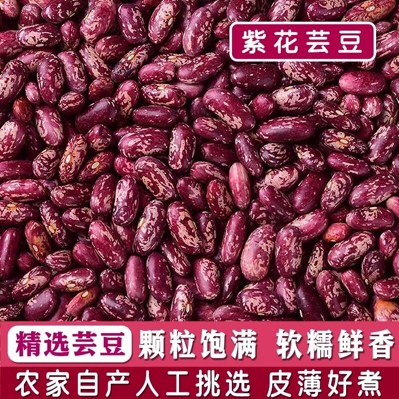 东北紫花芸豆大红芸豆五谷杂粮豆花芸豆新花芸豆饭豆大碴粥焖饭豆
