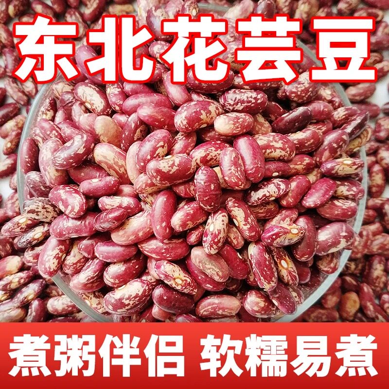 25年新货东北花芸豆5斤2斤批发五谷杂粮红芸豆饭豆豆馅紫花芸豆