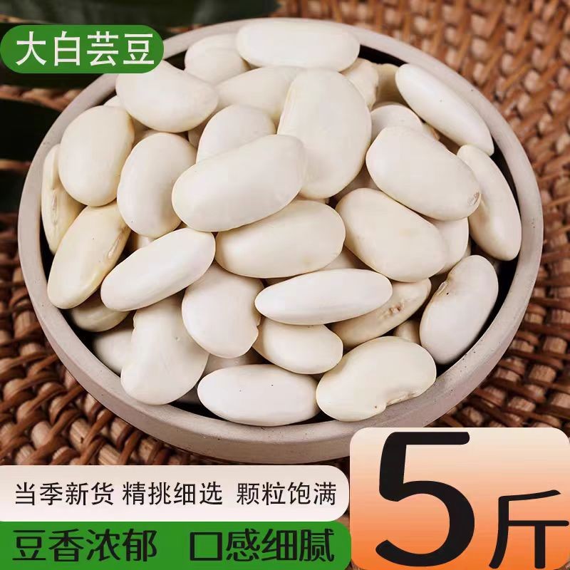 大白芸豆新货农家自种大白豆白云豆豆类杂粮粗粮大豆