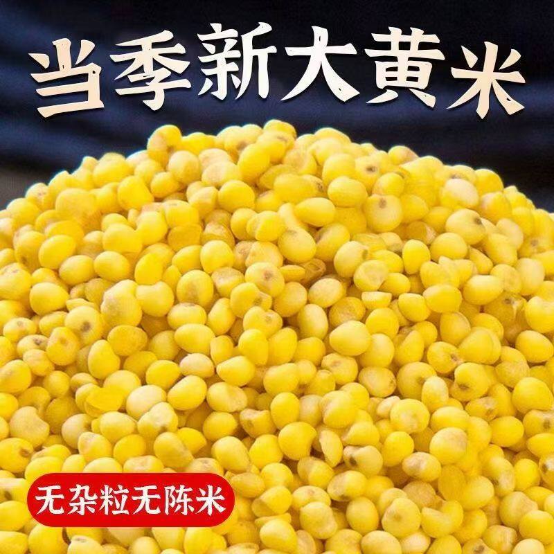 2025新大黄米新米农家黏黄米粘大黄米糯大黄米汤圆包粽子烧粥