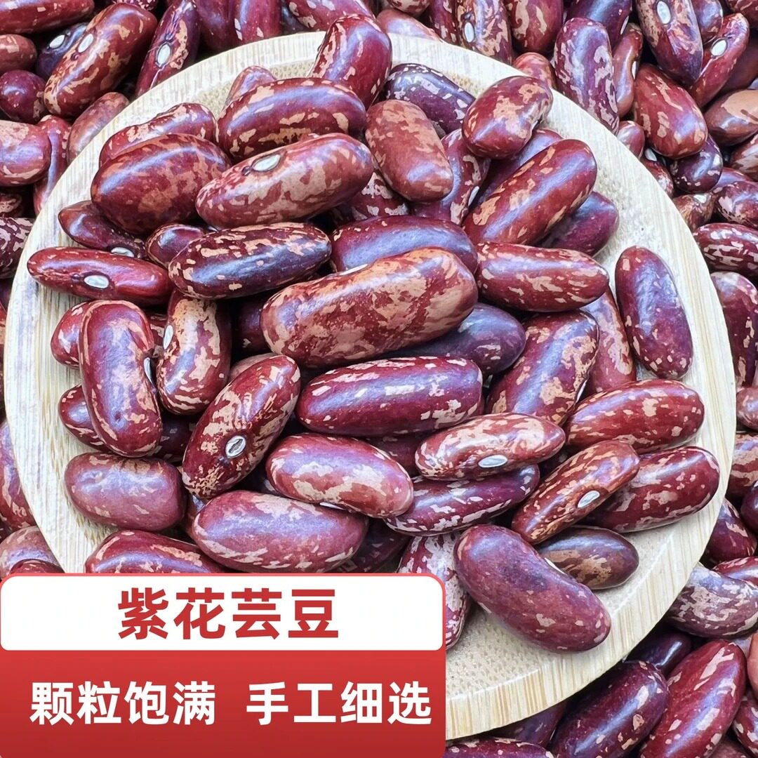 东北红花芸豆紫花芸豆大饭豆农家自产四季豆新豆腰豆子好煮软糯