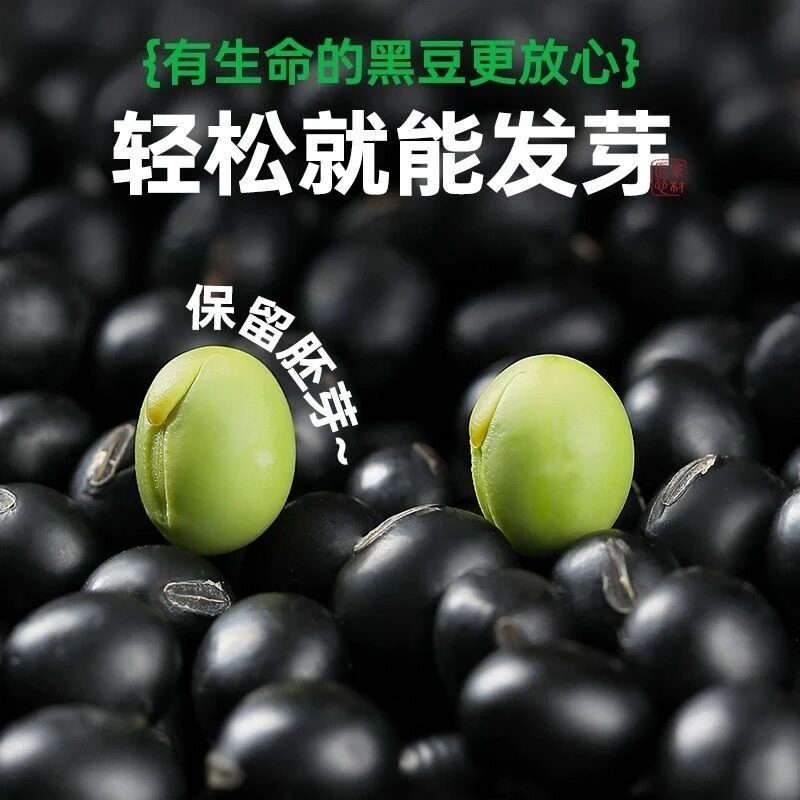【绿芯黑豆】东北绿芯黑豆 生豆子 3斤装 5斤装 农家绿芯黑豆