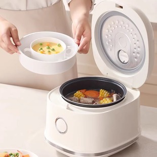德世朗钛健康电饭煲3L小型智能预约家用多功能小电饭锅DDQ FB505
