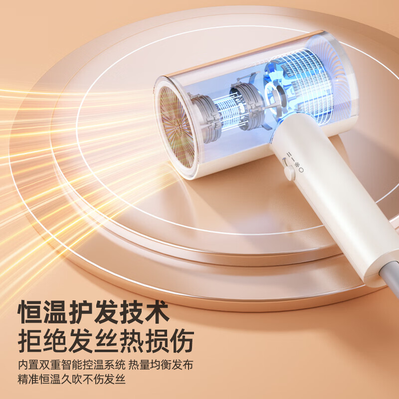 龙的吹风机电吹风家用恒温护发3档调试大功率吹风速干 LD-BQ1811
