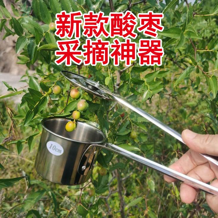 新款酸枣采摘神器山枣捡收夹采摘酸枣神器专用工具大小通吃不扎手