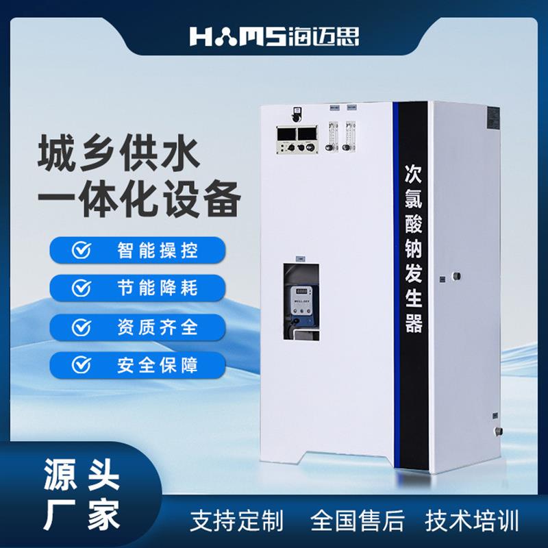 海迈思50g-200g次氯酸钠发生器小型供水工程水消毒处理设备厂家