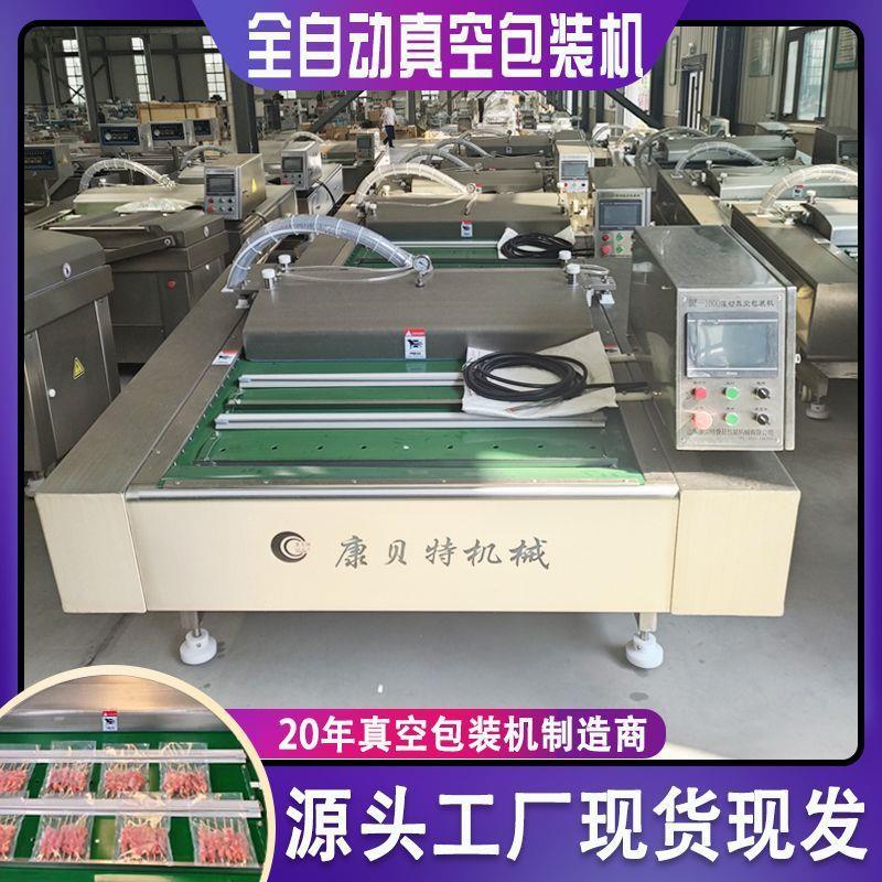 真空机商用 全自动年糕藕片滚动式真空包装机 DZ1000连续真空设备