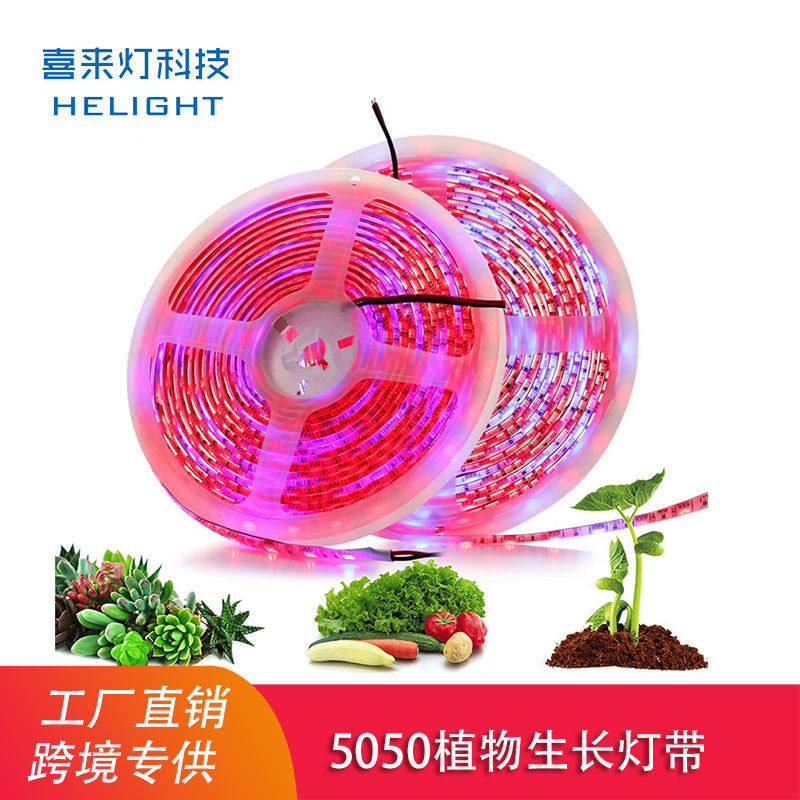喜来灯5050多肉补光植物生长led软灯条60灯/米4红1蓝 12V防水灯带,家装灯饰光源,室外LED灯带,淘宝优惠券,粉丝福利购,淘宝优惠卷