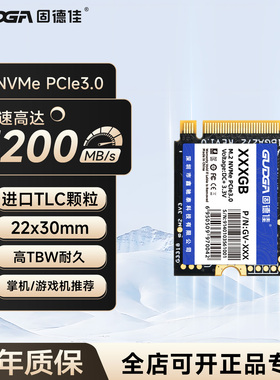 固德佳GV M.2 2230 NVMe PCIe3.0 512G 1TB固态硬盘SSD SteamDeck