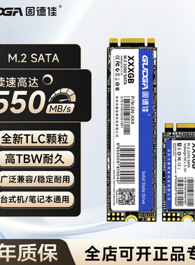 固德佳GN M.2 SATA 128G 256G 512G 固态硬盘SSD  2242 2280 TLC