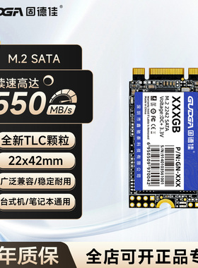 固德佳GN M.2 2242 SATA 128G 256G 512G 1TB 2TB固态硬盘SSD TLC