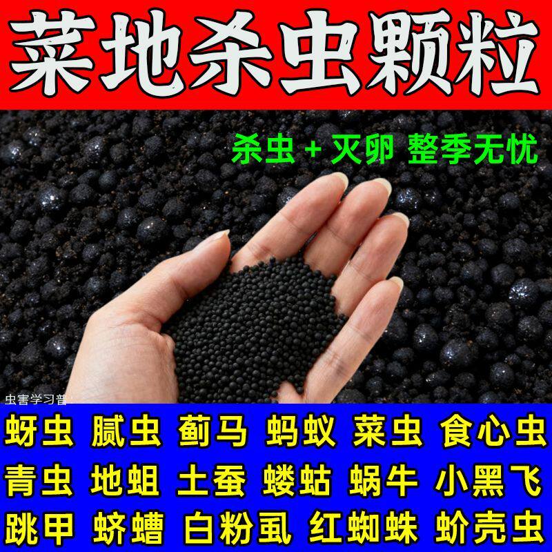地下害虫专用药土壤杀虫剂蜈蚣蛴螬蝼蛄潮虫爬虫菜地通用颗粒剂