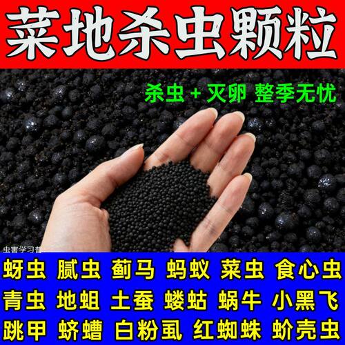 地下害虫专用药土壤杀虫剂蜈蚣蛴螬蝼蛄潮虫爬虫菜地通用颗粒剂
