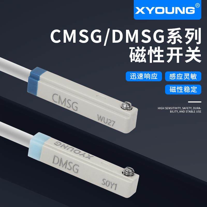 CMSG-020气动磁性开关感应器DMSG气缸传感器F-MQS感应开关扎带