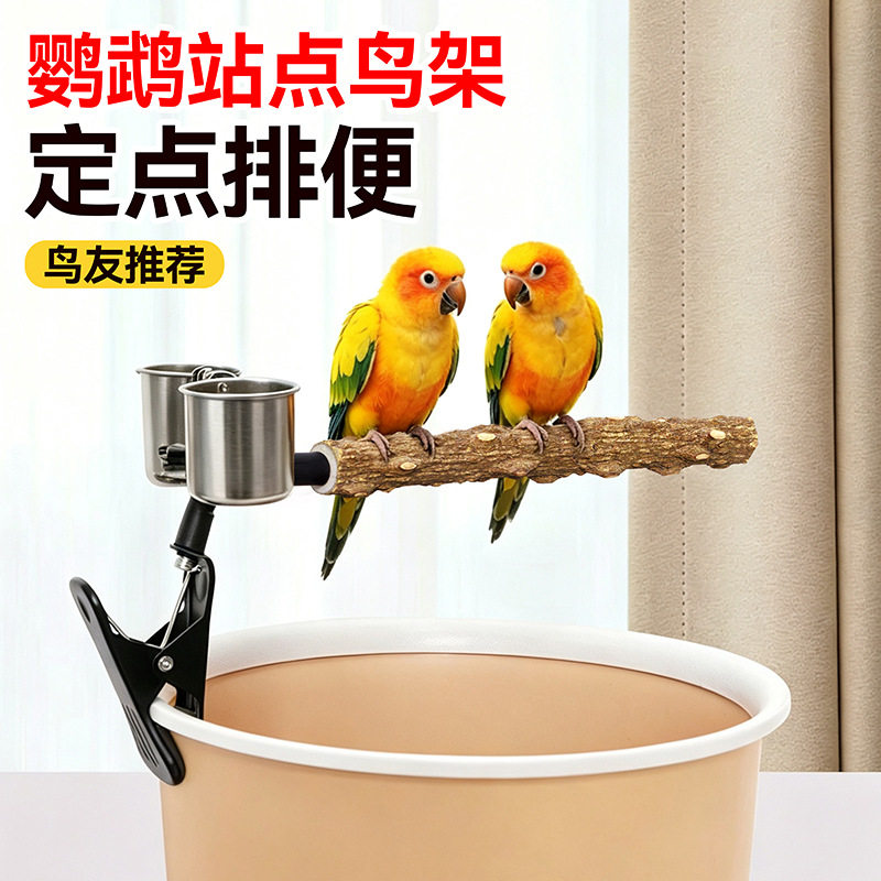 鹦鹉花椒木站杆定点排便夹图片