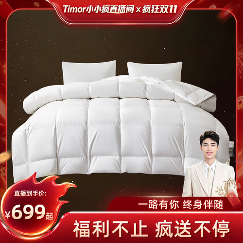【付尾款！小小疯双十一】奥若拉白鹅绒丝被加厚保暖羽绒丝被