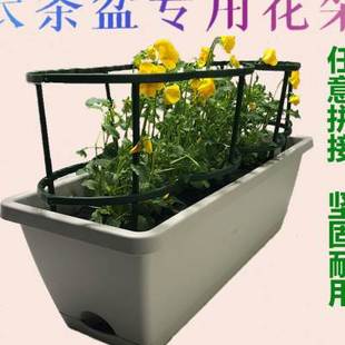 蟹爪兰支架金钱树多层双层防倒伏护叶拼接嫁接聚拢花架兰花架支撑